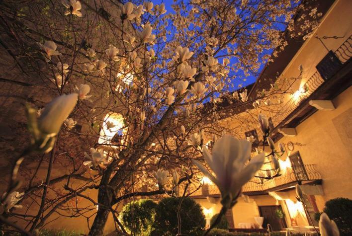 Schlosshotel Obermayerhofen Sebersdorf Exterior photo